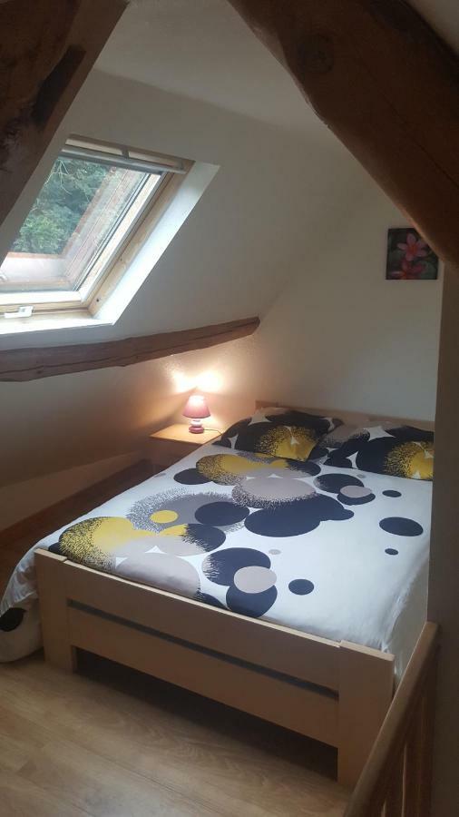 Magnifique maison/appartement au coeur des Volcans Ceyssat Extérieur photo